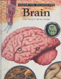 Under The Microscope The Human Body's: Brain 8