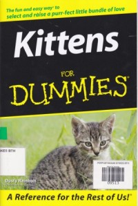 Image of Kittens for Dummies