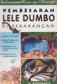 Memanfaatkan Rumah Dan Pekarangan Pembesaran Lele Dumbo Di Pekarangan